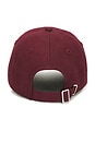view 3 of 3 The Favorite Baseball Hat in Burgundy