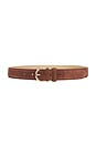 view 1 of 3 The Juni Belt in Tan & Polished Gold