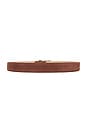 view 2 of 3 The Juni Belt in Tan & Polished Gold