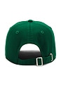 view 3 of 3 Classic Logo Baseball Hat in Green