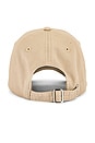 view 2 of 3 Classic Logo Baseball Hat in Taupe