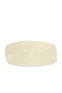 view 2 of 3 The Straw Visor in Natural