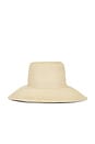 view 2 of 2 The Straw Favorite Hat in Natural
