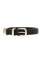 view 4 of 3 CEINTURE JORDAN in Black & Polished Gold