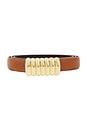view 3 of 3 CEINTURE THE VINTAGE BELT in Tan & Polished Gold