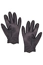view 2 of 2 The Driver Gloves in Ganache