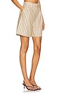 view 2 of 6 The Miranda Short in Beige & Navy Stripe