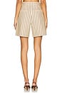 view 4 of 6 The Miranda Short in Beige & Navy Stripe