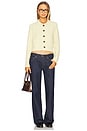 view 4 of 4 The Annabel Jacket in Moonbeam