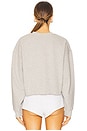 view 3 of 4 Cropped Collegiate Sweatshirt in Heather Grey & Navy