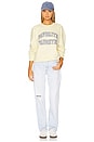 view 4 of 4 Collegiate Sweatshirt in Moonbean