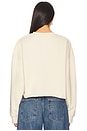 view 3 of 4 Cropped Collegiate Sweatshirt in French Oak & Snow White