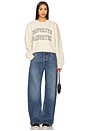 view 4 of 4 Cropped Collegiate Sweatshirt in French Oak & Snow White