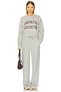 view 4 of 4 Cropped Collegiate Sweatshirt in Heather Grey & Burgundy