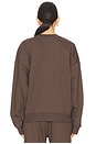 view 3 of 4 Collegiate Sweatshirt in Coffee & Gardenia