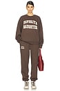 view 4 of 4 Collegiate Sweatshirt in Coffee & Gardenia