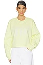 view 1 of 4 Cropped Undiscovered Model Sweater in Wax Yellow & White