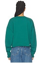 view 3 of 4 The Cropped Collegiate Sweatshirt in Emerald & Off White