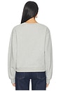 view 4 of 5 SWEAT THE SIGNATURE CLASSIC in Heather Grey & True