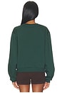 view 4 of 4 The Favorite Daughter Club Sweatshirt in Forest & Sugar