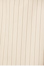 view 5 of 5 CHARLES トレンチ in Warm Sand Pinstripe
