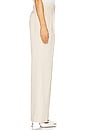 view 3 of 6 The Low Favorite Pant in Warm Sand Pinstripe