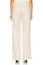 view 4 of 6 The Low Favorite Pant in Warm Sand Pinstripe