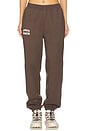 view 1 of 6 Collegiate Jogger in Coffee & Gardenia