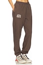 view 2 of 6 Collegiate Jogger in Coffee & Gardenia