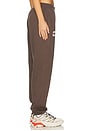 view 3 of 6 Collegiate Jogger in Coffee & Gardenia