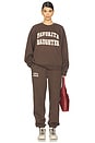 view 5 of 6 Collegiate Jogger in Coffee & Gardenia