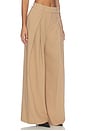 view 4 of 7 PLEATS DAYS FOR DAYS in Camel