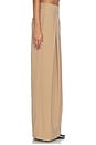 view 5 of 7 PLEATS DAYS FOR DAYS in Camel
