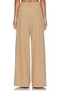 view 6 of 7 PLEATS DAYS FOR DAYS in Camel