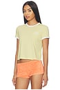 view 2 of 4 CAMISETA RINGER THE CROPPED FAVORITE DAUGHTER in Golden & Off White