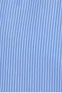 view 5 of 5 CAMISA THE BACK STORY in Blue & White Stripe