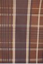 view 6 of 5 The Sheer Fantasy Top in Toffee Plaid