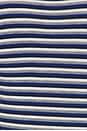 view 6 of 5 The Amelia Long Sleeve Top in Cobalt Mini Stripe