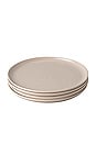 view 1 of 2 The Salad Plates Set of 4 in Desert Taupe