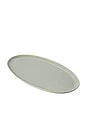 view 1 of 6 PLATO DE SERVIR OVAL SERVING PLATTER in Beachgrass Green