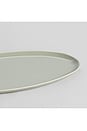 view 4 of 6 PLATO DE SERVIR OVAL SERVING PLATTER in Beachgrass Green