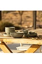 view 3 of 6 Pasta Bowls in Beachgrass Green