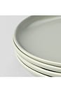 view 6 of 6 Dinner Plates in Beachgrass Green