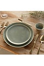view 2 of 6 ASSIETTES SALAD PLATES in Beachgrass Green