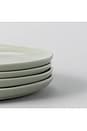 view 6 of 6 ASSIETTES SALAD PLATES in Beachgrass Green
