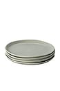 view 1 of 6 Dessert Plates in Beachgrass Green