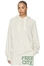 view 1 of 4 Basicgoodness Light Terry Fluff Hoodie in Heatheryumm Oats