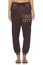 view 1 of 6 Sunfades Pocket Sweatpant in Chocolate Rabbit