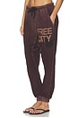 view 3 of 6 Sunfades Pocket Sweatpant in Chocolate Rabbit
