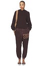 view 5 of 6 Sunfades Pocket Sweatpant in Chocolate Rabbit